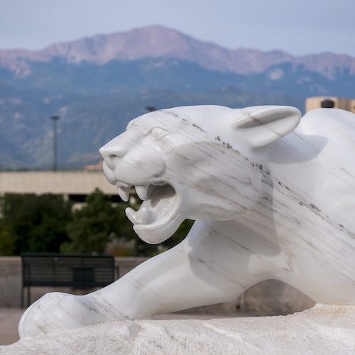 mountain lion statue on campus